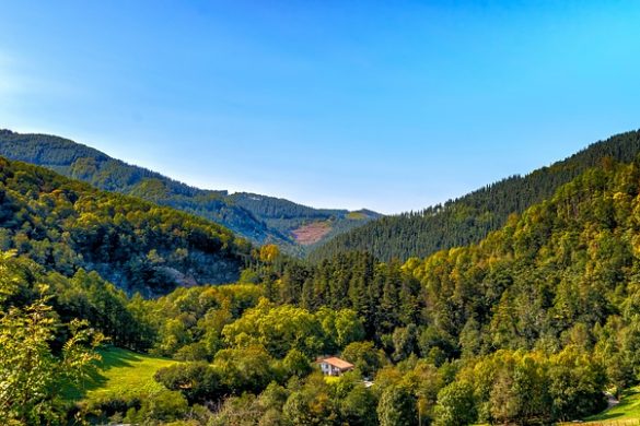 Manifiesto por una Nueva Cultura del Territorio