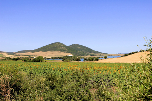 Nueva Cultura del Territorio