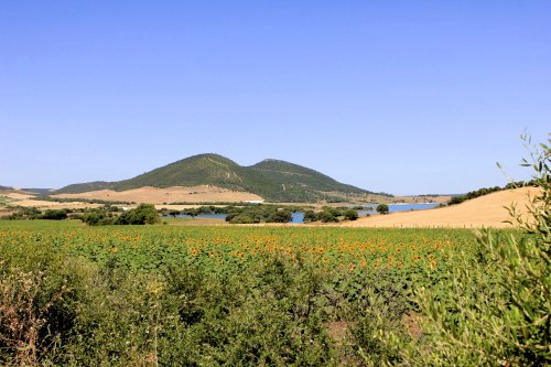 Nueva Cultura del Territorio