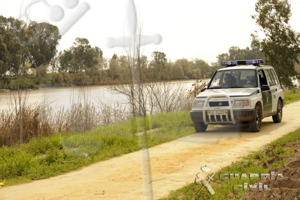 El Colegio inicia gestiones con el SEPRONA