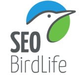 Becas SEO BirdLife - Convocatoria de tres becas para investigadores