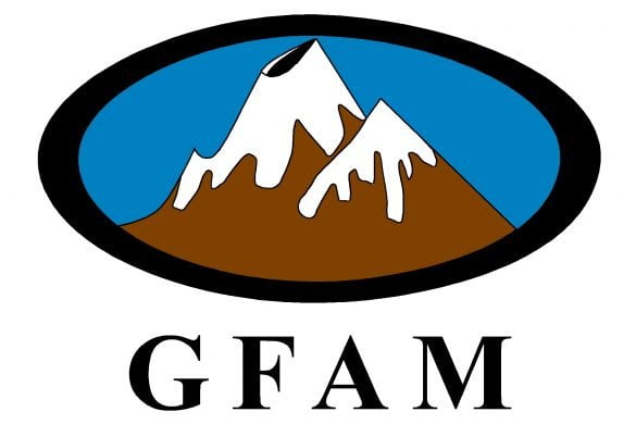 Premio GFAM Jóvenes Investigadores