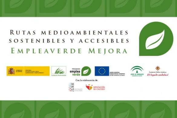 Curso de Diseño y Promoción de rutas medioambientales y accesibles