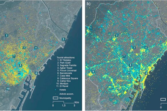 IV Premio Roser Majoral Moliné de la AGE