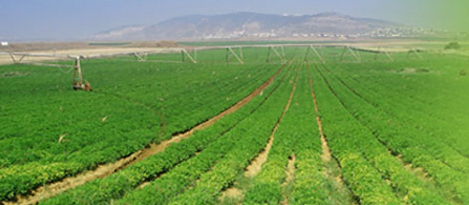 ISM - Conoce nuestros cursos de verano