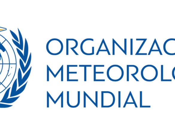 OMM - Premio de Investigación para Jóvenes Científicos