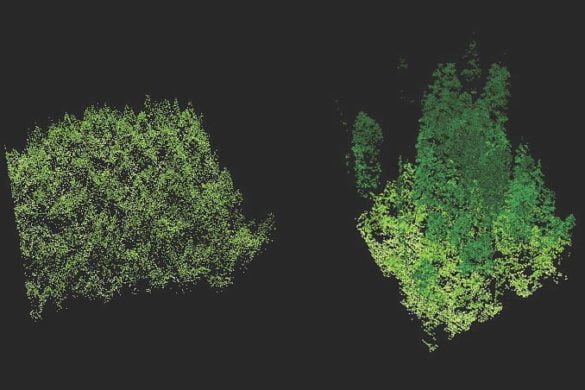 Recurso potestativo lidar