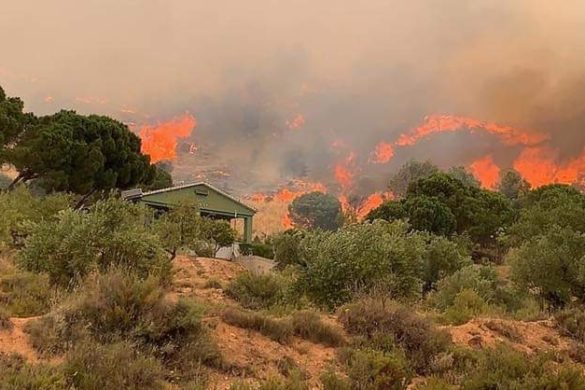Competencias para redactar planes locales de prevención de incendios forestales