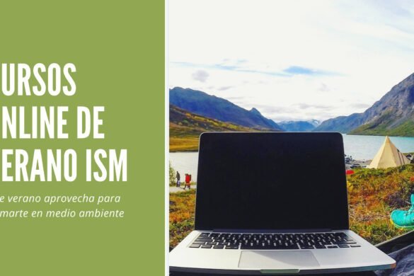 Cursos online de verano ISM