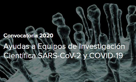 Ayudas Fundación BBVA a Equipos de Investigación Científica SARS-CoV-2. Convocatoria 2020