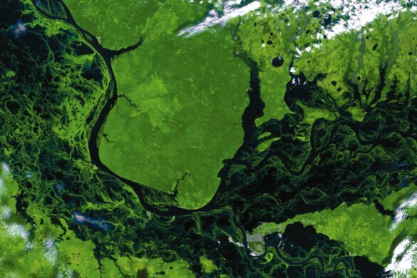 Cursos formación técnica oficial IMASGAL - Cursos octubre y noviembre 2020