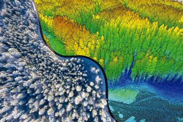 Imasgal cursos para el mes de Enero de 2021