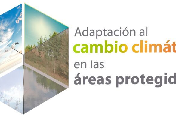 Curso "Adaptación al Cambio Climático en espacios protegidos"