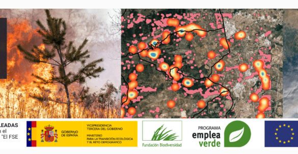 Proyecto sobre Tecnologías SIG y LIDAR aplicadas a la prevención de incendios forestales