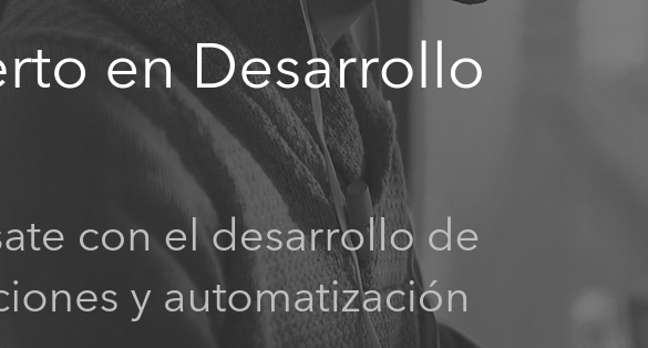 Programa Experto en Desarrollo GIS Programa Experto en Desarrollo GIS
