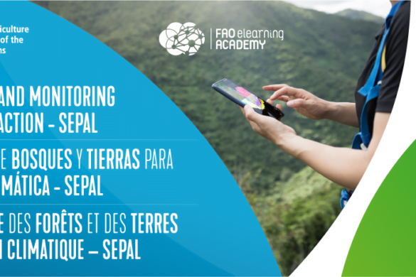 Curso online gratuito sobre monitoreo de bosques y tierras para la acción climática - SEPAL